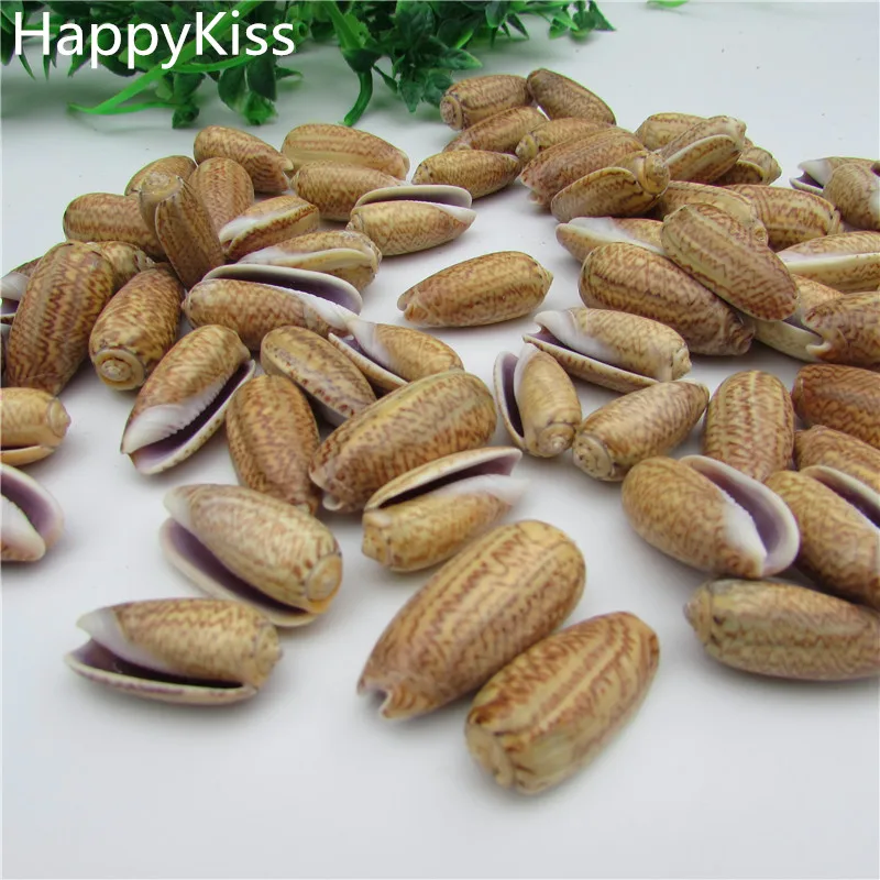 

HappyKiss Natural conch shells bandits screw drift bottles accessories platform microscopic potted creative diy material sea