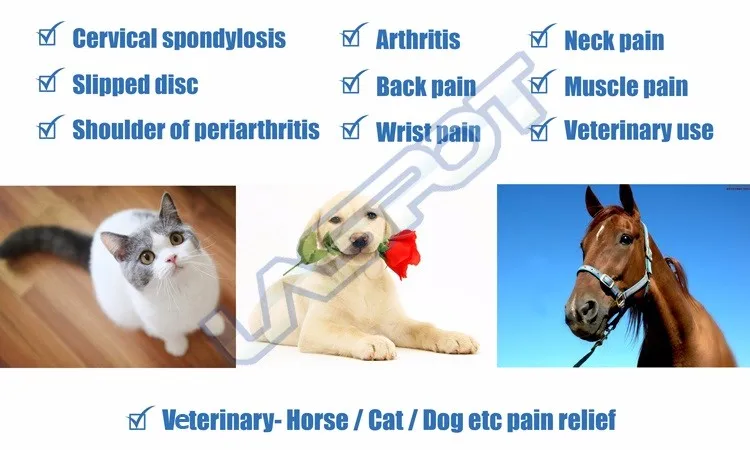 

Horse arthritis pain reliever cold laser therapy device GD-P-1 free shipping