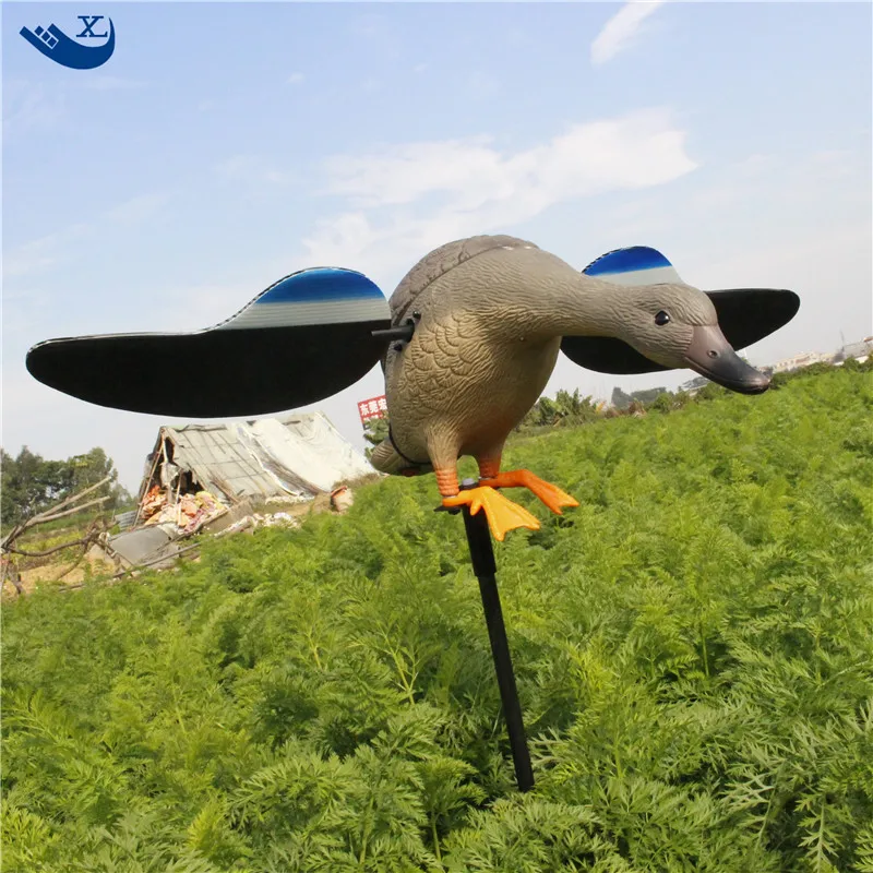 Duck Trap (41)
