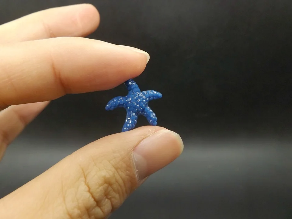 Tiny-A117Starfish (6)
