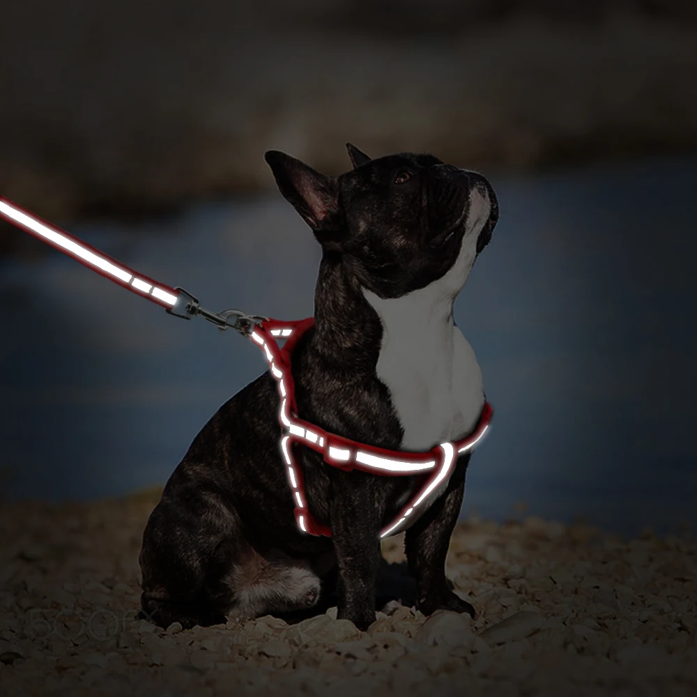 Светоотражающий нейлоновый поводок и поводок для собак, не тянет, комплект для щенков и Мопсов, жилет и поводок для прогулок для маленьких и средних собак