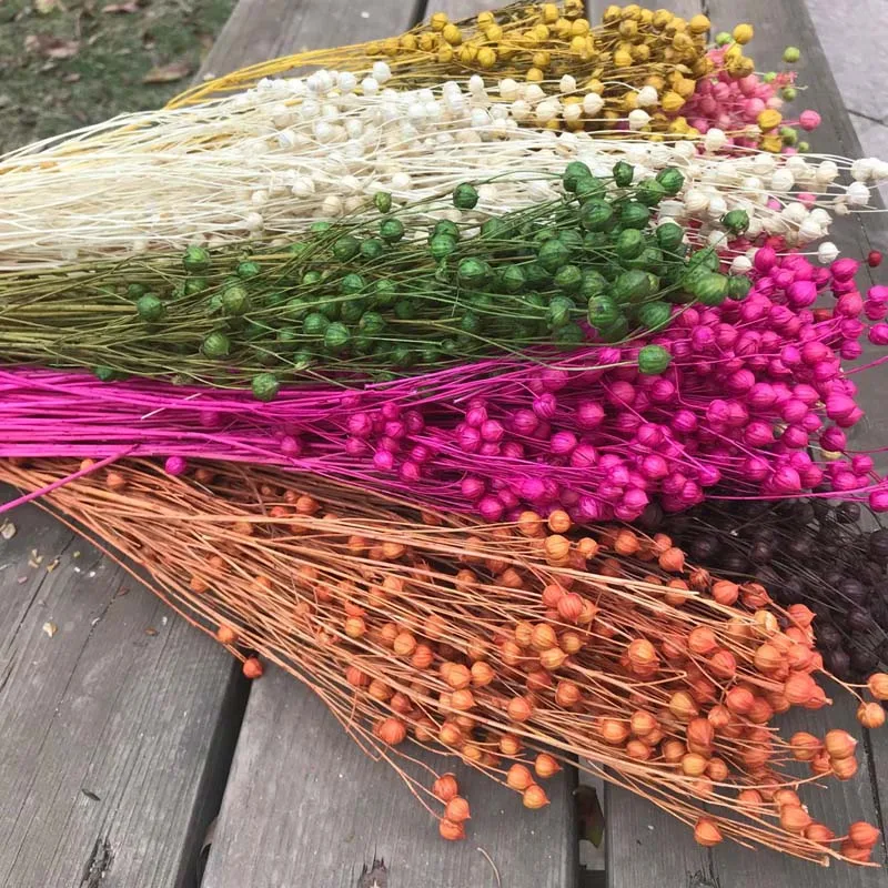 

40-50g DIY Preserved flower Decoration Material,Dried Natural Flowers Mini Star Fruit Bouquet,Jumble-Beads,Wedding,home Decor