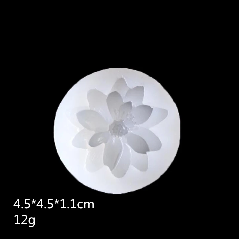 4639761762_687444823_