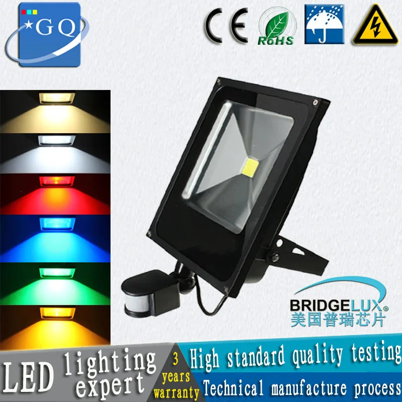 

20pcs/bag 50W 30w 20w 10w DC12V led flood light sensor PIR Motion sensor Induction Sense LED bulb light