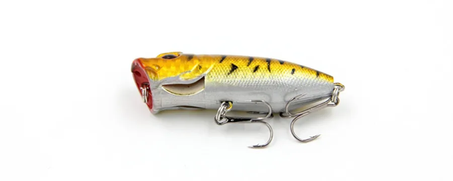 IMG_0019_ 7_