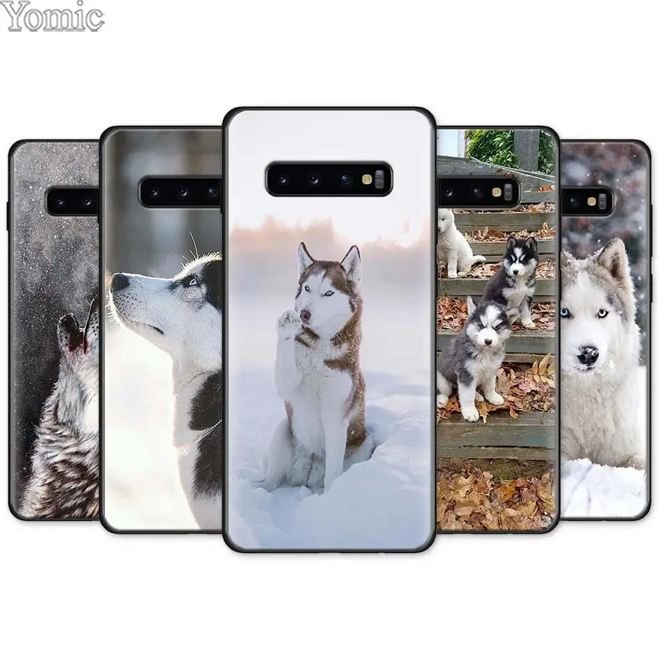 

Alaskan Malamute Siberian husky dog Black Silicone Case for Samsung Galaxy S10e S10 S8 S9 Plus S7 A40 A50 A70 Note 8 9 Soft Case