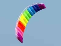 HOT SELL New 2.7m  Dual Line  Power Parafoil Kite Boarding / Surfing So Exciting and Good Flying 2