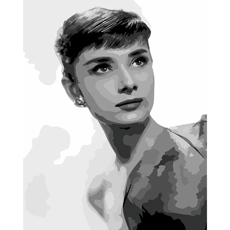 Home Decor Audrey Hepburn Digital Acrylic Paint Kit Oil Painting by