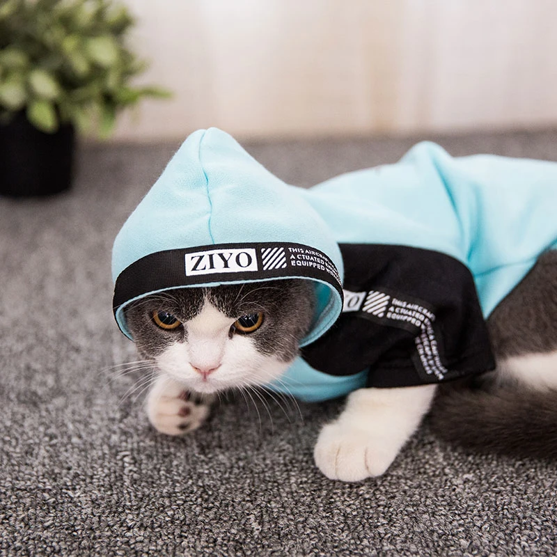 Зимняя одежда для кошек Одежда собак котята костюм котенка Ropa Para Gatos De Navidad Милая