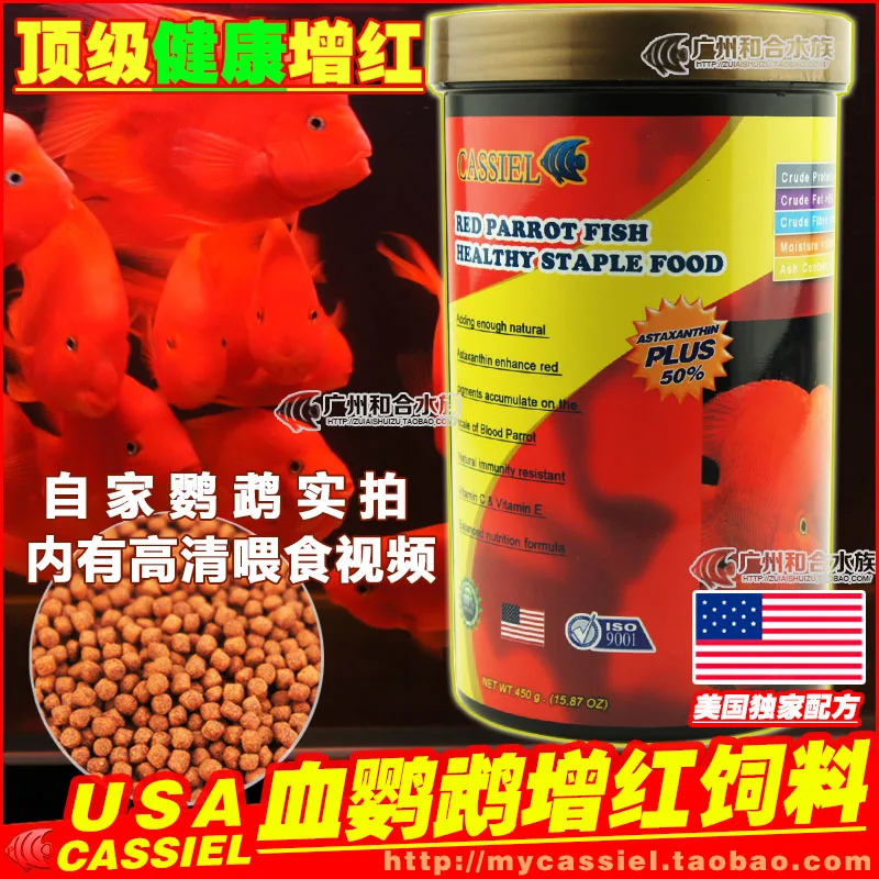 

Jiaxi top feed blood parrot fish red parrot fish feed enriched fish feed fish food rich food by redfish
