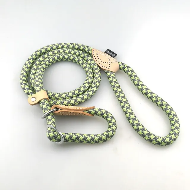  GIIWIN One Piece Dog Leash And Collar Durable Dog Leash Harness Nylon 