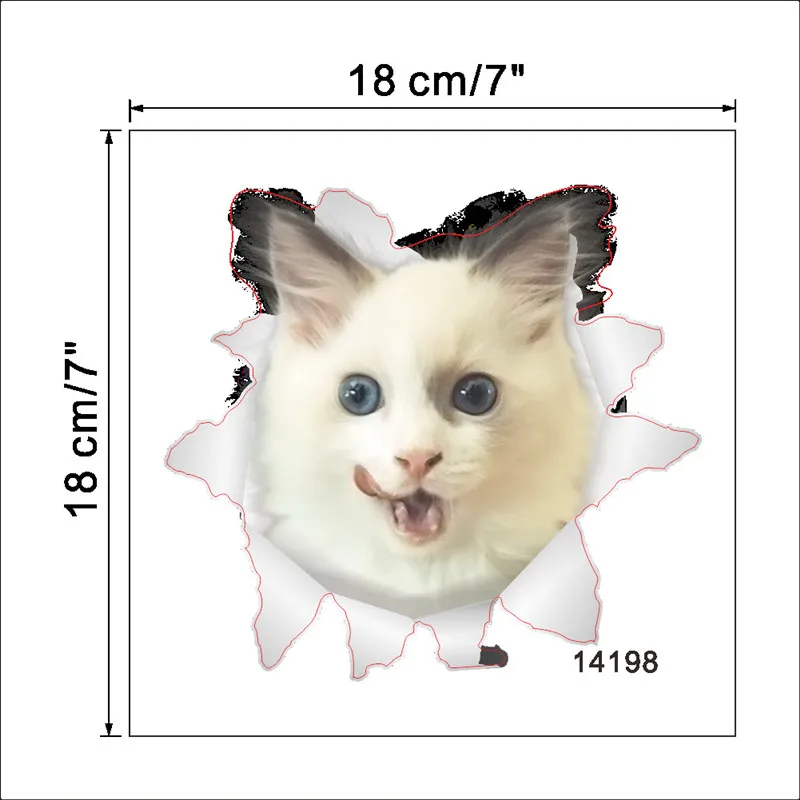HTB1gEElX6DuK1RjSszdq6xGLpXaK