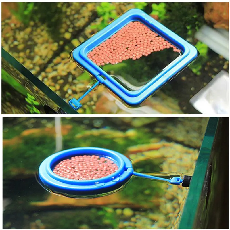 

Round Square Suspension Aquarium Fish Food Feeding Tray Circle Fish Tank Floating Fish Food Feeder with Sucker