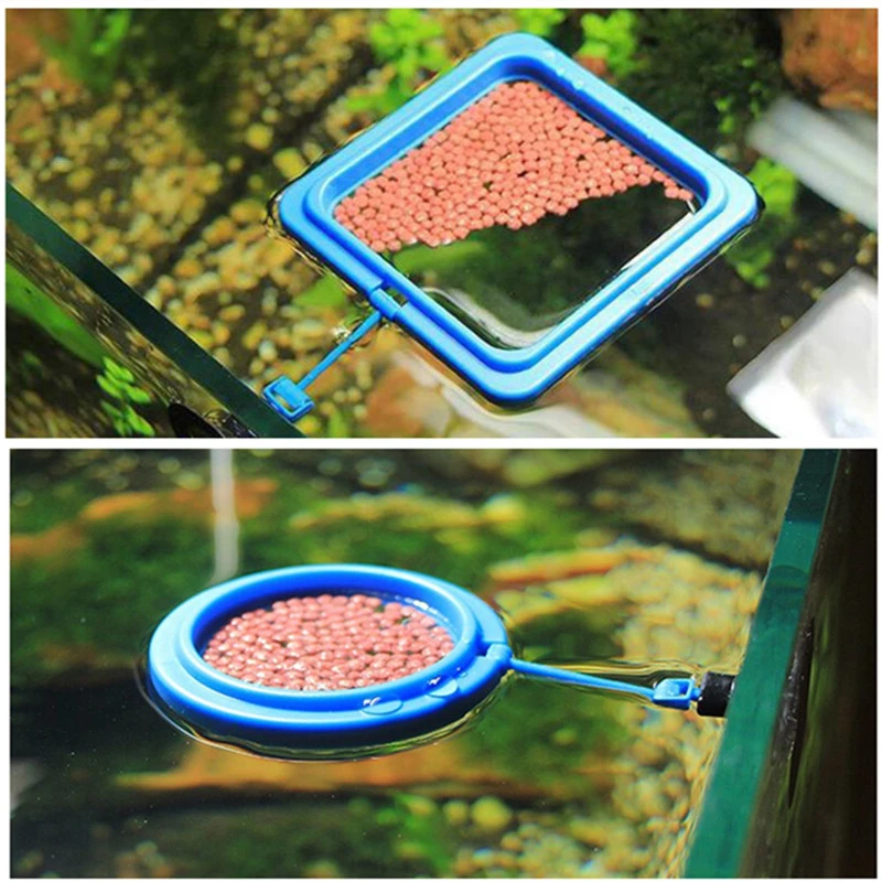 floating fish tank