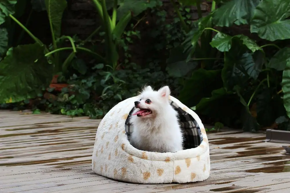 Petalent Shoe shape Pet house для маленьких собак и кошек, Тедди/Пудель/Чихуахуа/шотландский складной/персидский кошачий дом