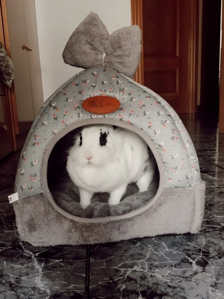 Hoomall собака мягкая кровать диван треугольник палатка дом щенок кошка гнездо собака питомник для кошек и маленьких средних товары для животных, собак