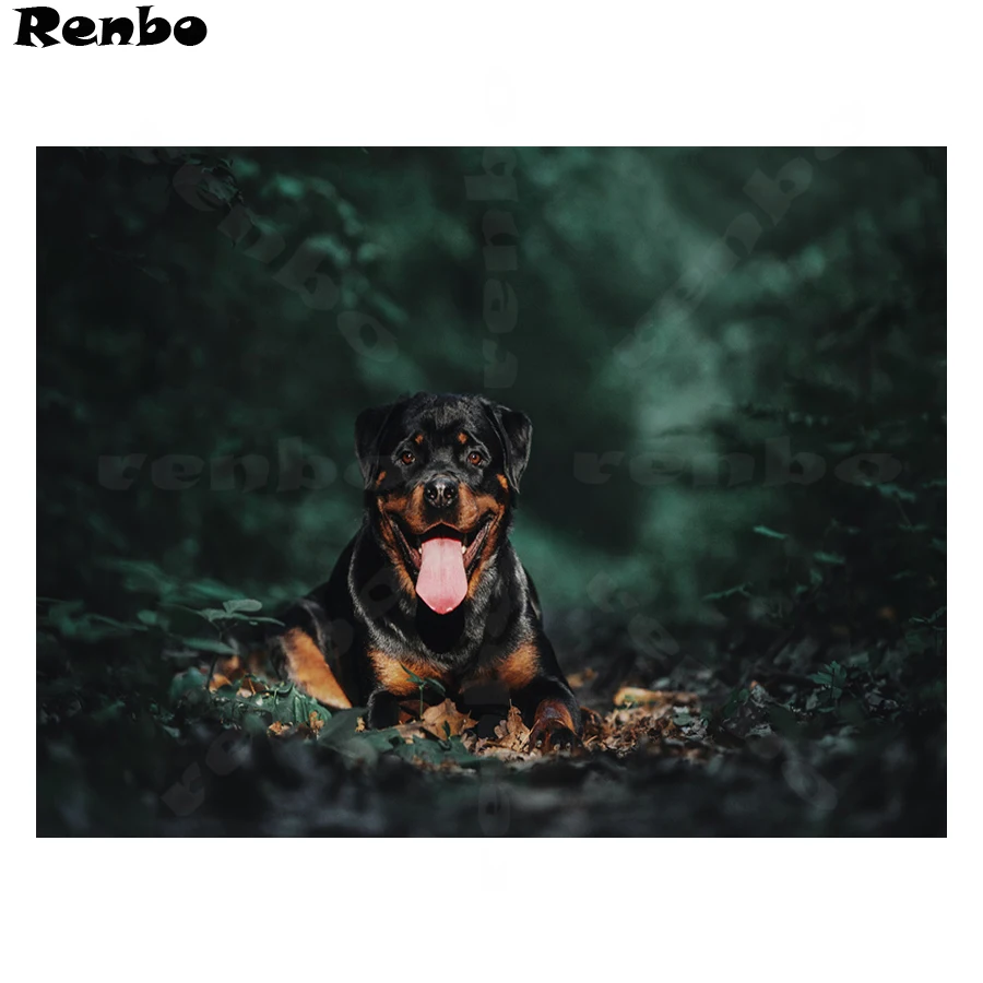 Фото на заказ Алмазная картина Животные Ротвейлер Собака 5D Сделай Сам Вышивка крестиком 3D бриллианты вышивка мозаика картина Стразы B124