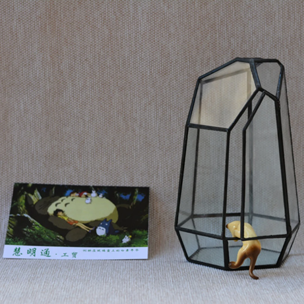 Irregular Glass Geometric Terrarium Box Tabletop Succulent Plant Planter