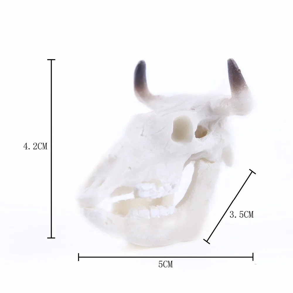 Крупный рогатый скот модный мужской Байкер Панк Veel череп необычные творческие игрушки скелет модель Декор Коллекция Декорации для аквариума подарок
