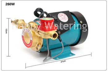 

Household 1/2" Outlet Gas Water Solar Water Pressure Booster Pump 260W Pressure Pumps Switch by Hand