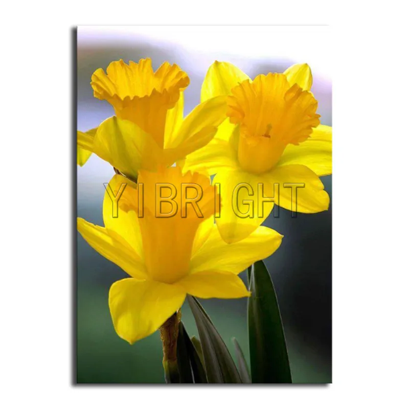 

Full Round Diamond embroidery Cross stitch flower DIY 3D Diamond mosaic yellow Full Square Diamond painting floral yellow