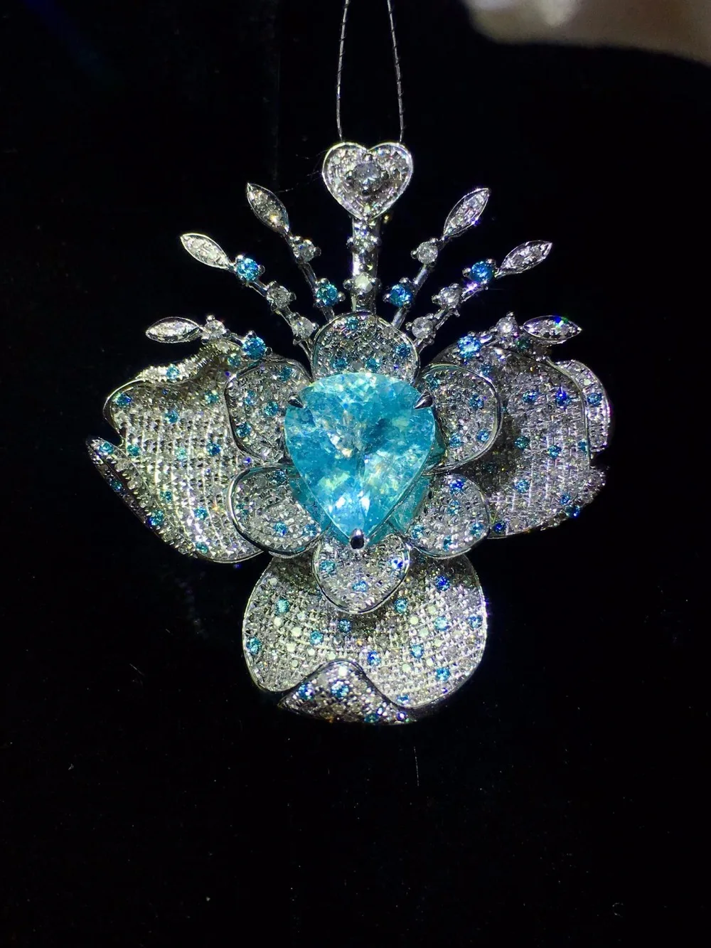 IMG_6522