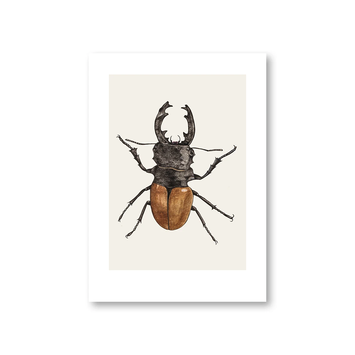 

Morden Coleoptera Insects Wall Art Printed Canvas Painting Beetle Decoration Wall Decor Posters Picture