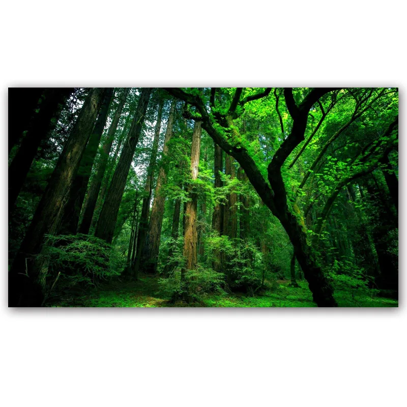 Wall Art Canvas Painting Forest Tree Nature Landscape Posters and Prints Wall Art Pictures For Living Room Cuadros Home Decor - Цвет: 4560419-forest-