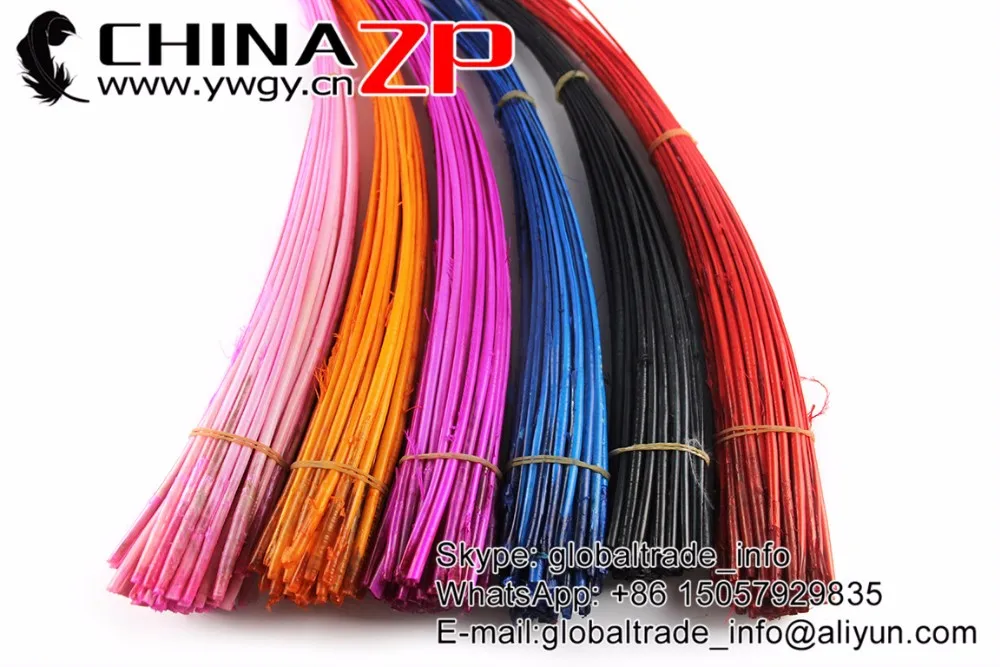 Mix Ostrich Quill Spines (6)