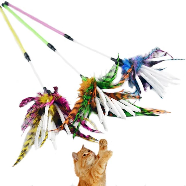 Cat Accessories Cats Play, Cat Feather Plastic Wand