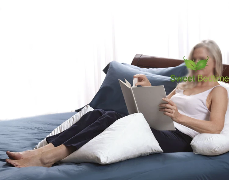 Heissen Korper Trilateralen Kissen Core 95 5 Weisse Gans Daunen Spezialitat Keil Kisseneinlage Schlafsofa Couch Kissen Kissen Pillow Cushion Bed Bunkpillow Blue Aliexpress