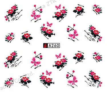 2988758896_2031802831
