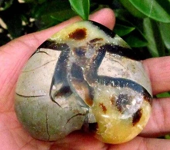 

NATURAL Polished Septarian Dragon Stone Heart Healing