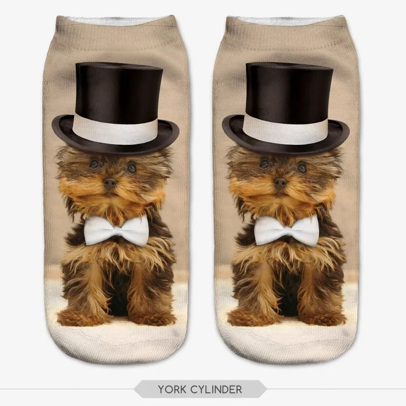 HTB1ovq_HVXXXXXZXpXXq6xXFXXX1