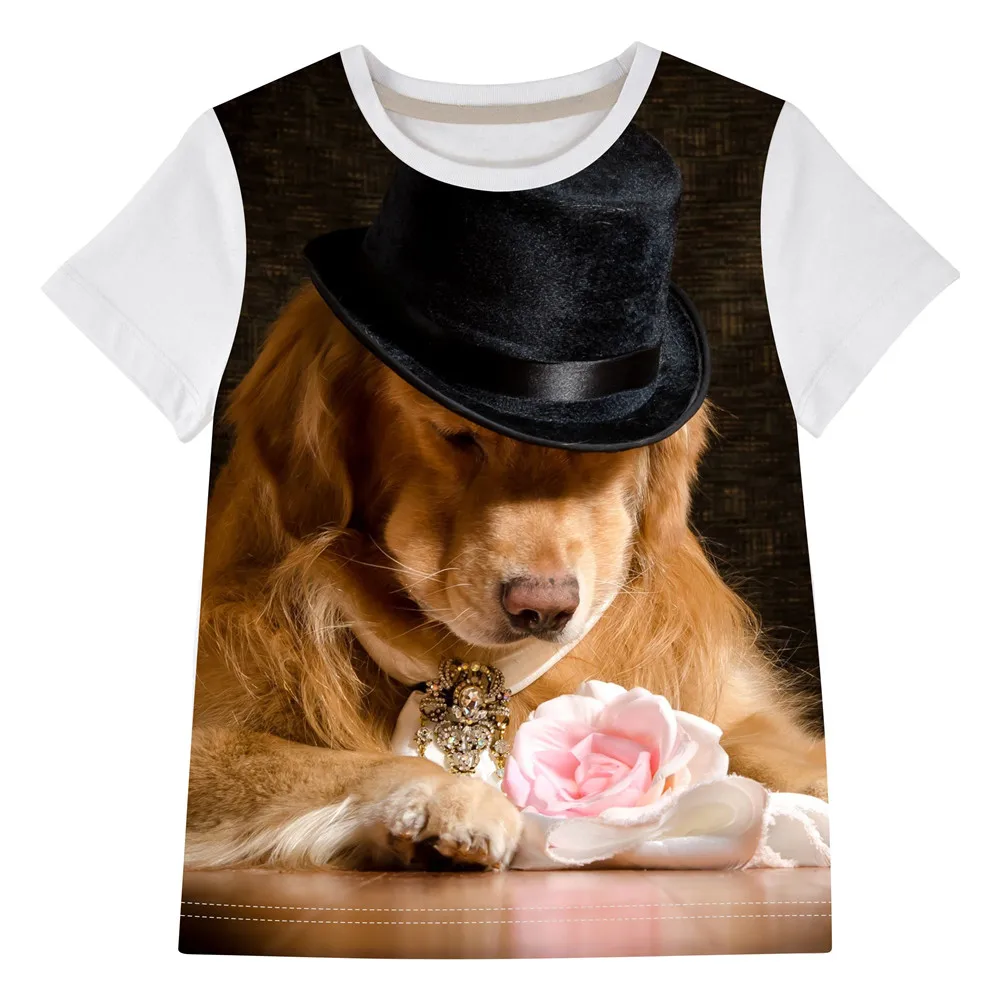19T 700