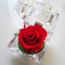 Подарок на день Святого Валентина, искусственный сушеный ящик для цветов, розовый мини-чехол, романтическое свидание, сюрприз, подарок для