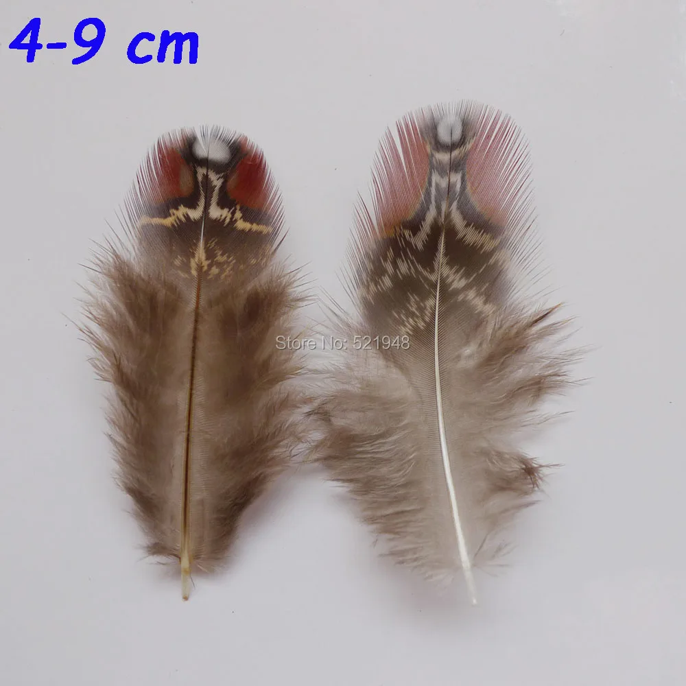 P1030515