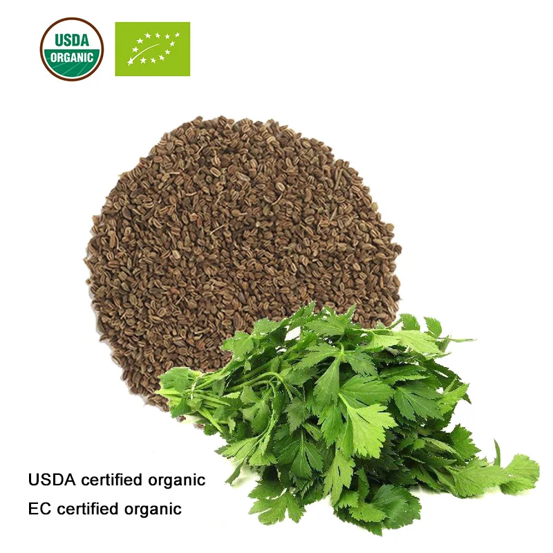USDA и EC Сертифицированные органические экстракт семя сельдерея 20:1