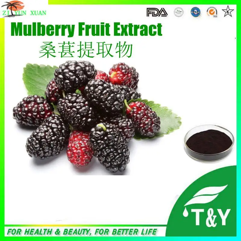 organic natural dark plum fruit extract dark plum fruit extract powder organic natural dark plum fruit extract dark plum fruit extract powder