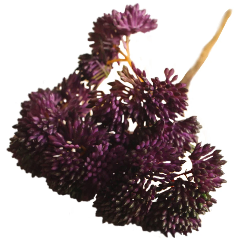 

Fruit Rare Garden Succulent Grass Desert Artificial Plant Landscape Fake Flower Arrangement Garden Decor purple