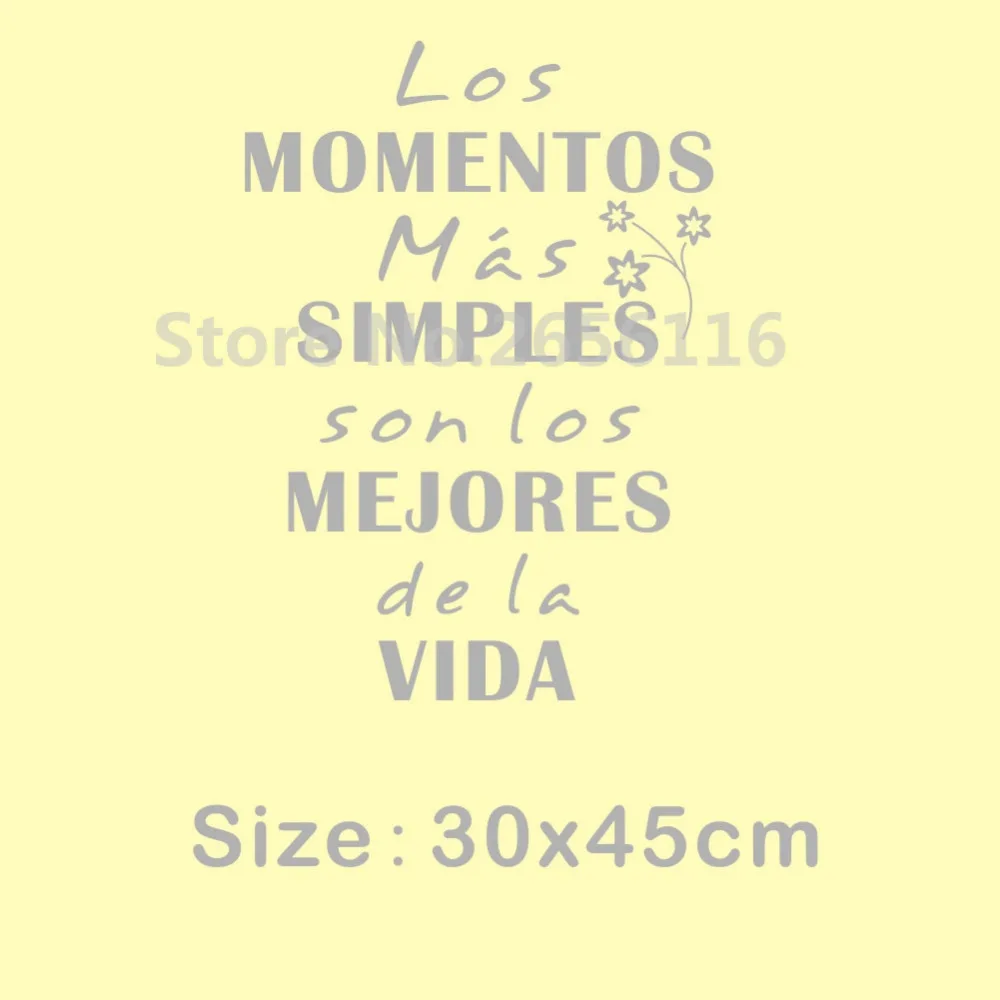 my900 size