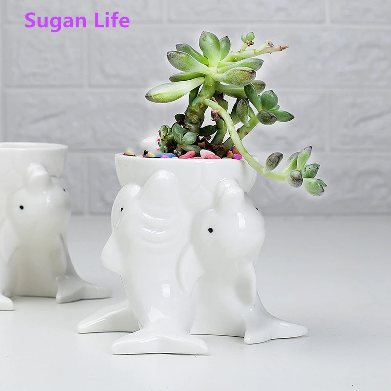 Nordic Style Simple Indoor Outdoor Gardening Creative Succulent Plant Pots Dolphins White Ceramic Pots Desktop Potted Ornaments Flower Pots Planters Aliexpress
