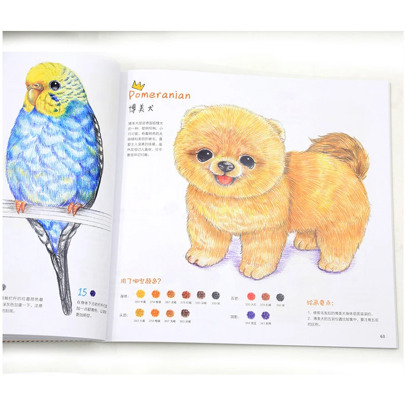 Cina Baru Berwarna Pensil Menggambar Buku Kucing Kelinci Hewan