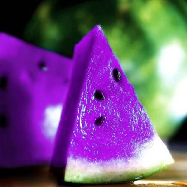A Package 10 Pieces Seeds Rare Purple Flesh Watermelon Seeds Super Big