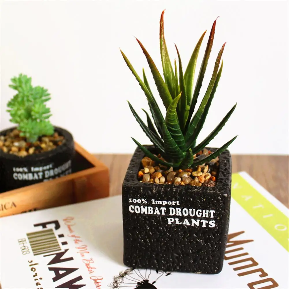 Innovative Decorative Flower Artificial Fleshiness Cactus Aloe Succulent Plant Bonsai Local Landscape Home Balcony Decoration Innovative Decorative Flower Artificial Fleshiness Cactus Aloe Succulent Plant Bonsai Local Landscape Home Balcony Decoration