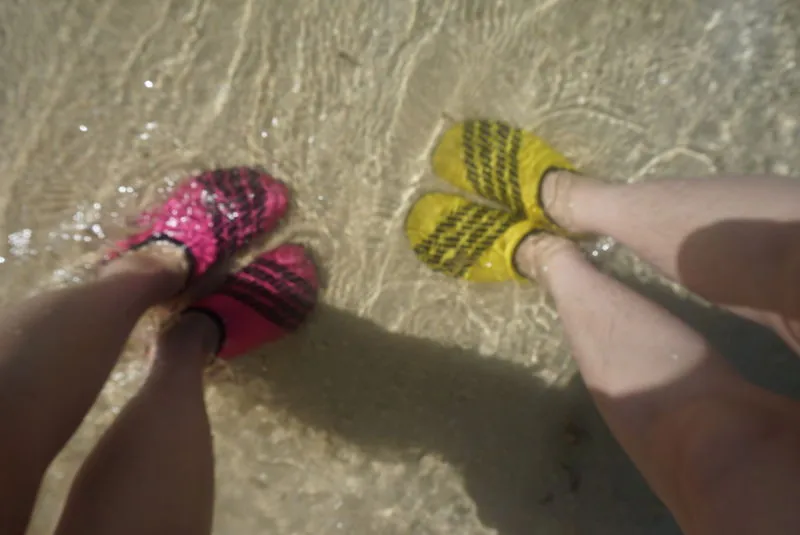 2784114442_979201264