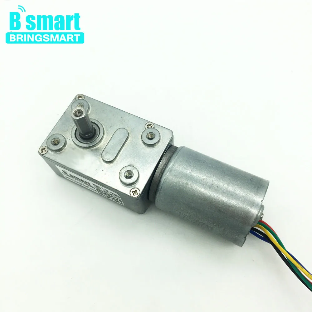 

Bringsmart JGY-2838 DC Worm Gear Motor High Torque Reverse 12V Mini Turbo-reducing Brushless Motor Built-in Driver Self-lock