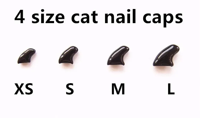 cat  4 size(1)