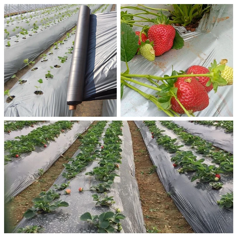 

25m Silver-Black Garden Film Orchard Fruit Trees Reflective Film Weed Control Silvery Black Mulch Film Plants Cover Grow Film