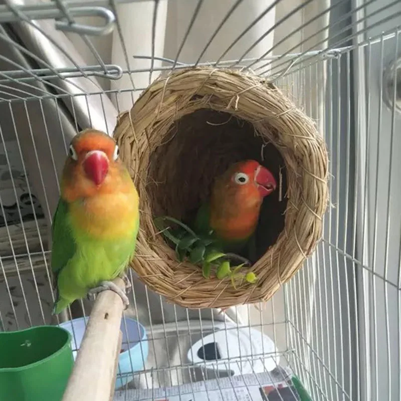 Гнездо для неразлучников. Домик для попугаев неразлучников. Домик гнездо для попугаев. Гнездо для волнистых попугаев. Домик для попугаев неразлучников.